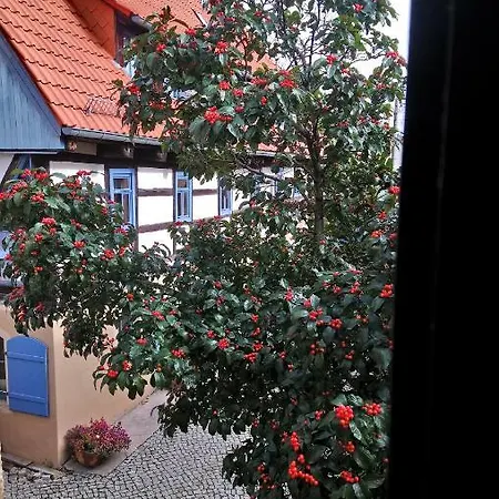 Apartment Nicolaus *